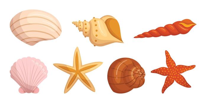 Seashells And Starfish Set Isolated On White Background. Shells Adding Touch Of The Ocean To Any Decor vector