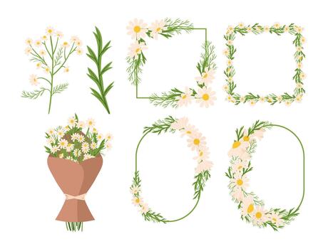 Set Of Chamomile Flowers Frames, Bouquet And Isolated Blossoms For Creating Gentle And Calming Atmosphere vector