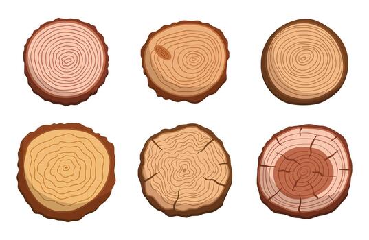 Set Of Tree Trunk Cross Sections, Showcasing The Unique Patterns And Growth Rings, Isolated Icons On White vector