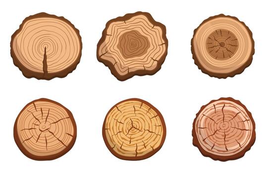 Set Of Tree Trunk Cross Sections, Featuring Circular Slices Showcasing Unique Growth Rings And Natural Wood Patterns vector