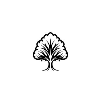 A stylized illustration of a symmetrical tree with ornate radiating branches and a curved double trunk vector