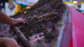 stänga se visar en fiskare skrapning tång från en röd och blå luzzu skrov i marsaxlokk, malta. grund djup av fält, värma dagsljus, texturerad rörelse. video