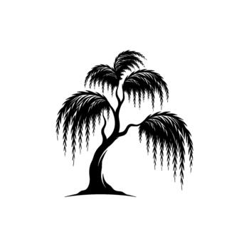 Stylized silhouette of a weeping willow tree with flowing branches and cascading leaves isolated vector