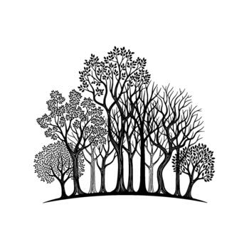 An artistic monochromatic illustration of a diverse forest silhouette featuring trees with intricate branches and various leaf densities vector