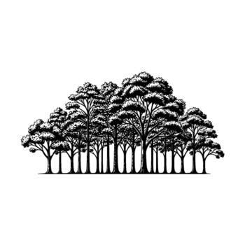 A detailed illustration of a dense forest line with various tall trees showing intricate branch structures and leafy canopies vector