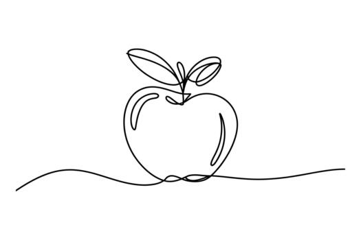 Simple continuous line drawing of a fresh apple with leaves and stem on a white background representing healthy food and nature vector