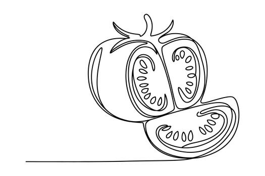 Simple black and white line drawing illustration of a whole tomato cut in half with a slice next to it on a white background vector