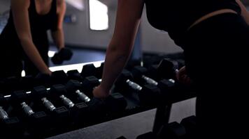 Training session in gym with dumbbells and focused workout routine video