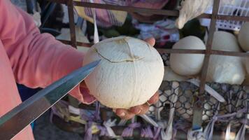 Close Up of a Hand Holding a Large Egg while Using a Knife for Preparation in a Market Setting video