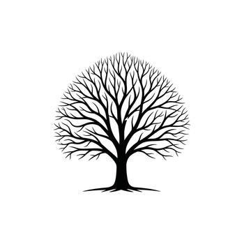 Silhouette of a bare tree with intricate branches against a white background vector