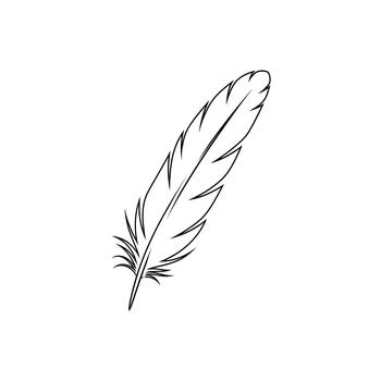Simple line drawing of a single feather on a white background vector