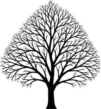 Silhouette of a large deciduous tree with intricate bare branches against a white background vector