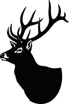 Majestic stag silhouette profile view vector