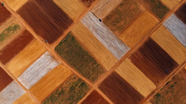 Aerial view of vibrant patchwork farmland featuring rich earthy tones in various patterns. photo