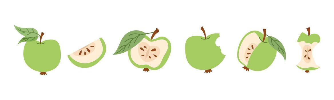 Green apples illustration set with soft outline. Fresh minimal fruit collection with halves, slices and core isolated on white background. vector