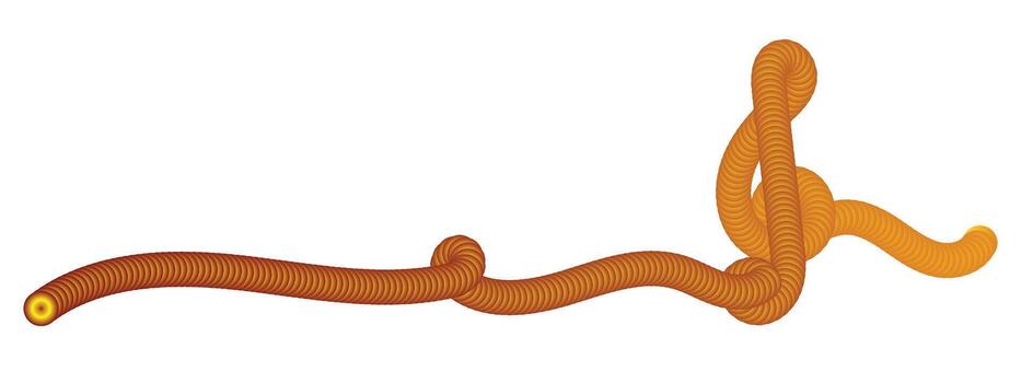 Coiled Rope Line Knot Problem Solution Concept vector