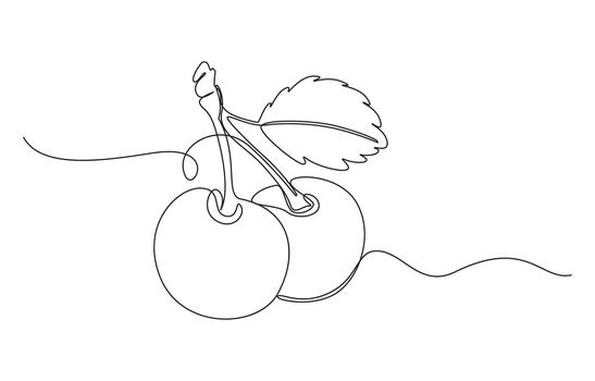 continuo uno línea Cereza dibujo vector
