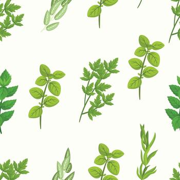 Seamless Pattern with Culinary Herbs Consisting Of Various Aromatic Plants Used For Cooking, Such As Basil vector