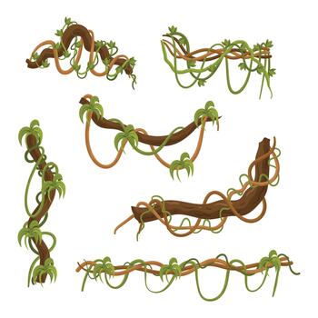 Tangled Set Of Lianas, Intertwining And Climbing Through The Forest, Creating A Natural Web Of Vines Illustration vector