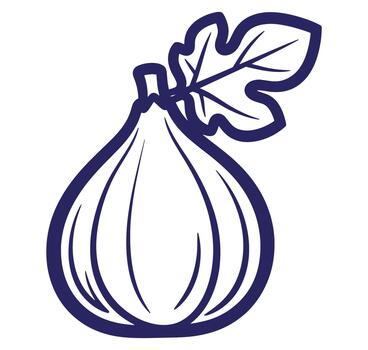Simple outline illustration of a ripe fig fruit with leaf isolated on white background vector