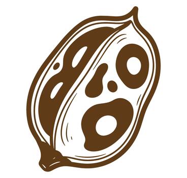 Stylized botanical illustration of a coffee bean showing abstract patterns in brown colors vector