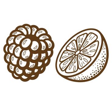 ilustración de un frambuesa y naranja rebanada en un sencillo resumido diseño vector