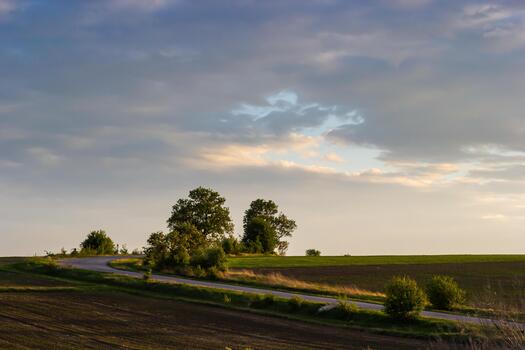 an empty road going forward between a green and plowed field with trees on the side in spring. Sunset photo