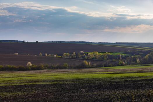 View of a spring plowed field, a tree, and a sky with clouds photo