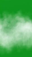 branco fumaça ou névoa comovente horizontalmente em verde tela fundo com Preto área abaixo video