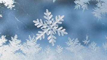 Frosty window with snowflake and tree patterns on a cold day video