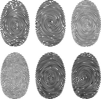 Six unique fingerprint patterns on a white background vector