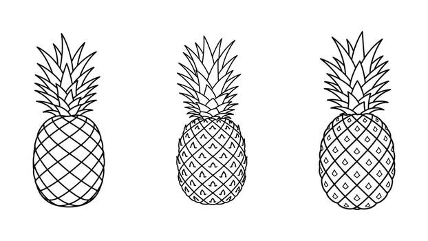 Three hand drawn black and white pineapples displayed vertically in a row vector