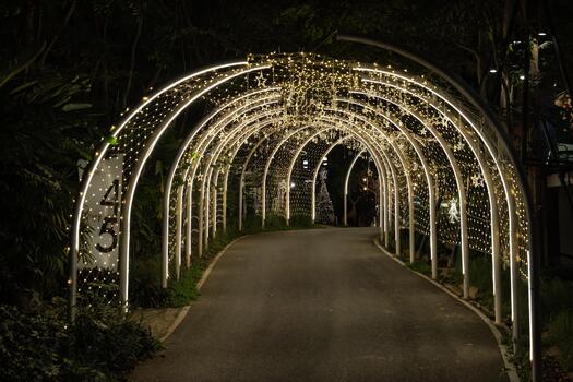 Strings of tiny star lights hang across curved frames in a bright display, and the glowing ornaments form a striking pattern over the walkway.bb photo