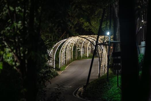 Curved white beams form an illuminated tunnel accented with hanging lights, and the structural lines create a clean pattern against the dark background.d photo