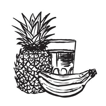 Sketch displaying pineapple and bananas for blended fruit beverage vector