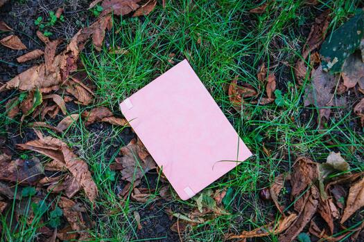 Notebook Lying in the Grass among Autumn Leaves photo