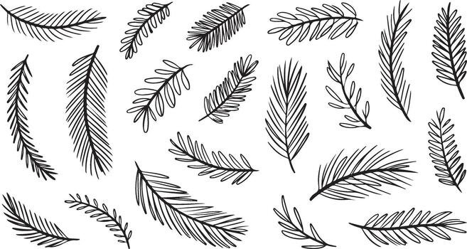 Handdrawn pine and fir branches create an elegant natural pattern on a transparent backdrop vector