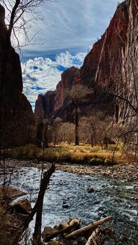 Serene Utah canyon river valley with red cliffs and leafless trees near a flowing stream photo