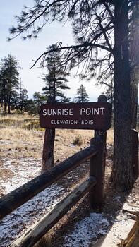 Sunrise Point sign in Utah with elevation 8015, pine trees, and wooden railing photo