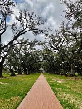 Tree lined path in Vacherie, St. James Parish park leading to a grand building under a cloudy sky photo