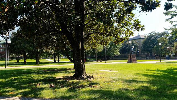 parque escena en del Sur Illinois con un grande árbol refugio un soleado instalaciones césped foto
