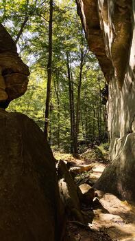 tranquilo bosque camino Entre imponente rock acantilados en del Sur Illinois revelador moteado luz de sol foto