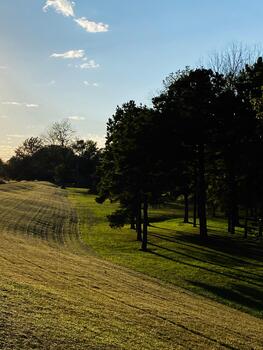 iluminado por el sol parque camino con arboles y largo oscuridad en del Sur Illinois campo Estados Unidos foto