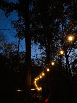 Evening in a Southern Illinois woods with string lights and guests walking through a path photo