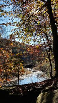 Autumn forest by a stream in Southern Illinois with colorful fall leaves photo