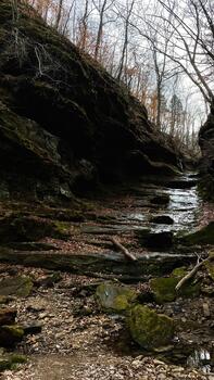 cubierto de musgo rock paredes marco un superficial corriente en un enselvado barranco en del Sur Illinois foto