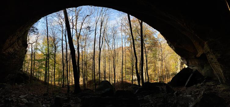 Autumn forest seen from a cave entrance in Southern Illinois, USA, with light filtering through trees photo