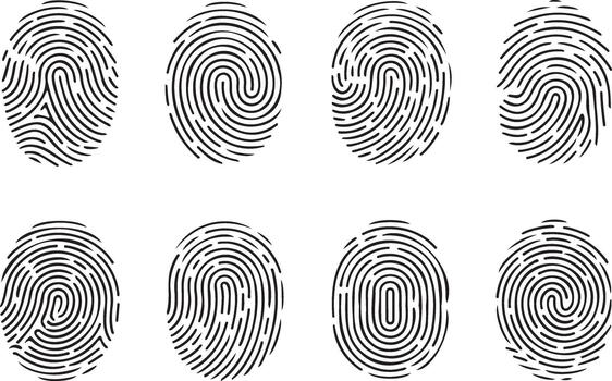 Collection of diverse fingerprint patterns on a white background vector