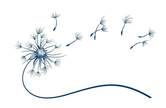The field dandelion symbol with flying seeds. vector