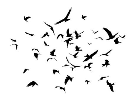 Flock of birds in flight. vector